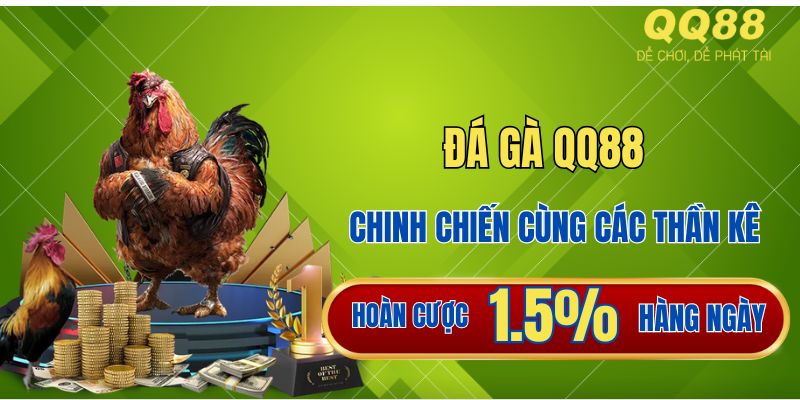 Đá gà trực tuyến QQ88 - Thử sức cá cược cùng các thần kê